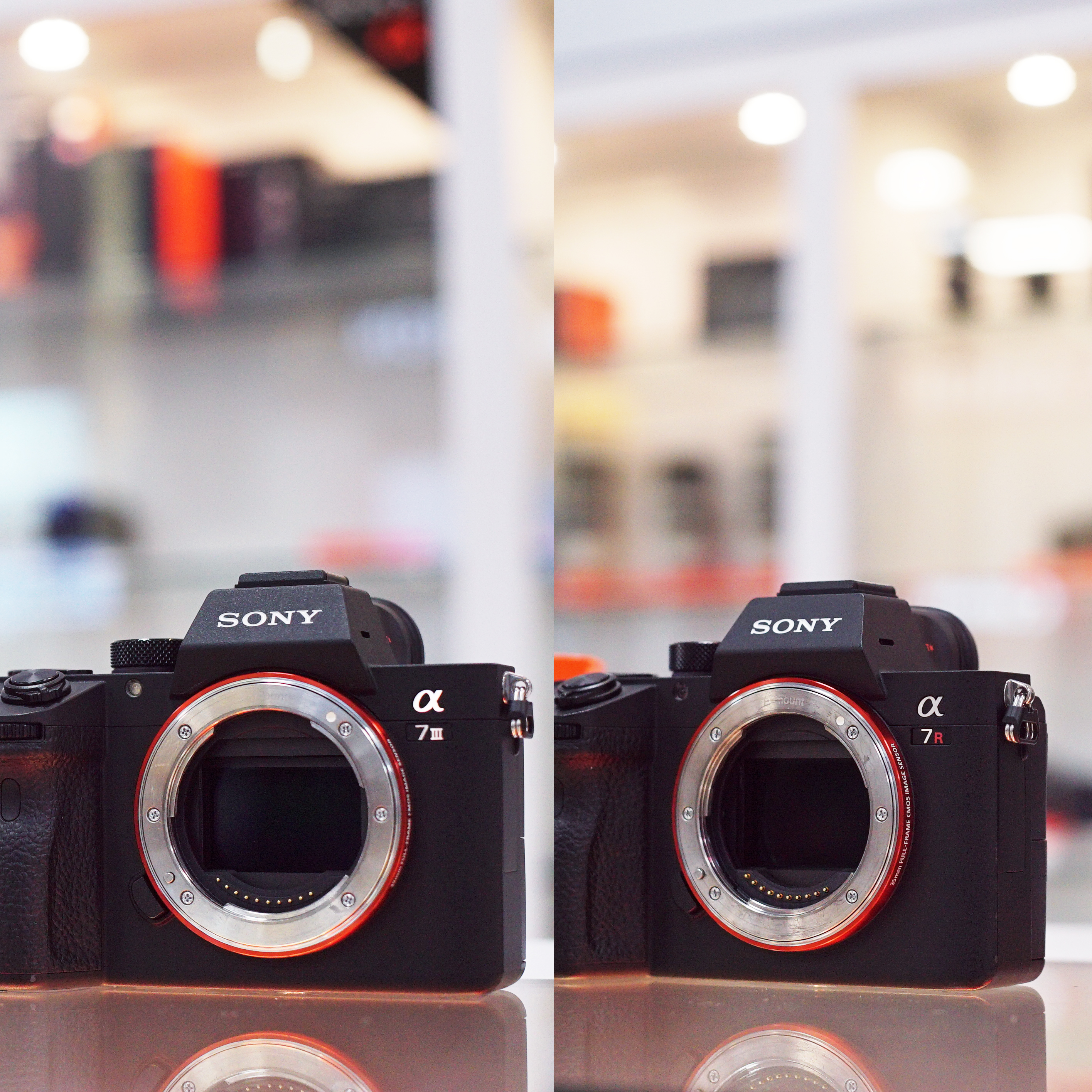 Sony A7III vs Sony A7RIII Which one is for you?