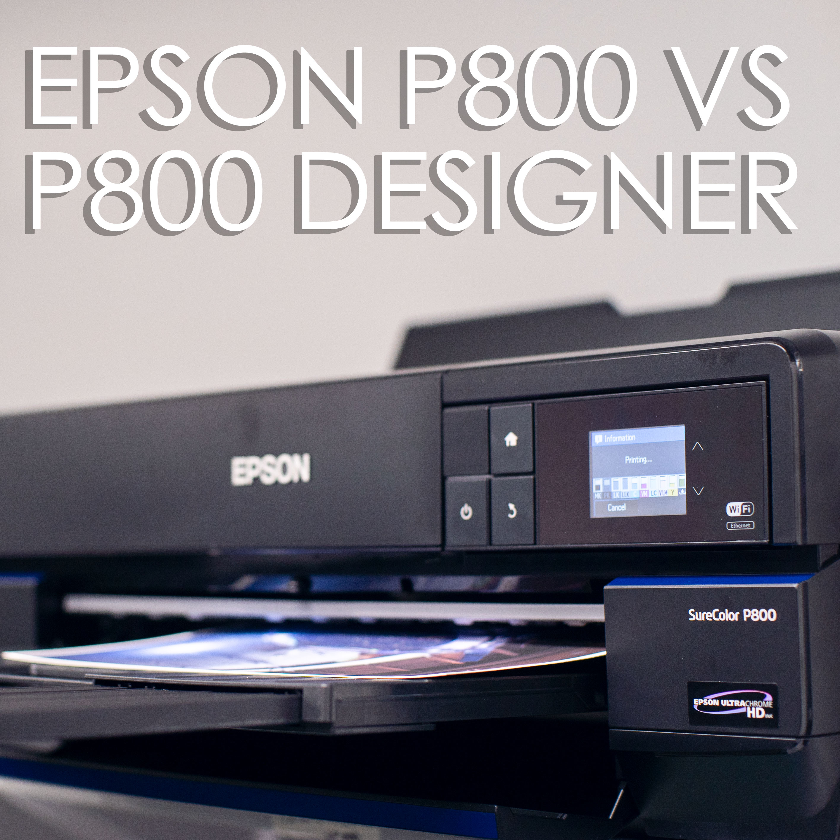 P800 vs P800 Designer Edition