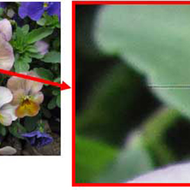 Service Notice: PowerShot G10: Lines Appear in Captured Images