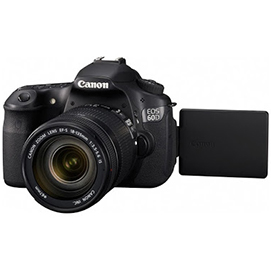 Hands on with the Canon EOS 60D: Video Review and ISO Samples
