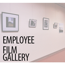 Employee Film Gallery This Saturday