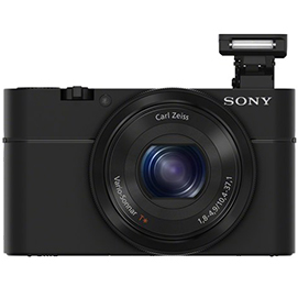 Sony RX100 Quick Review