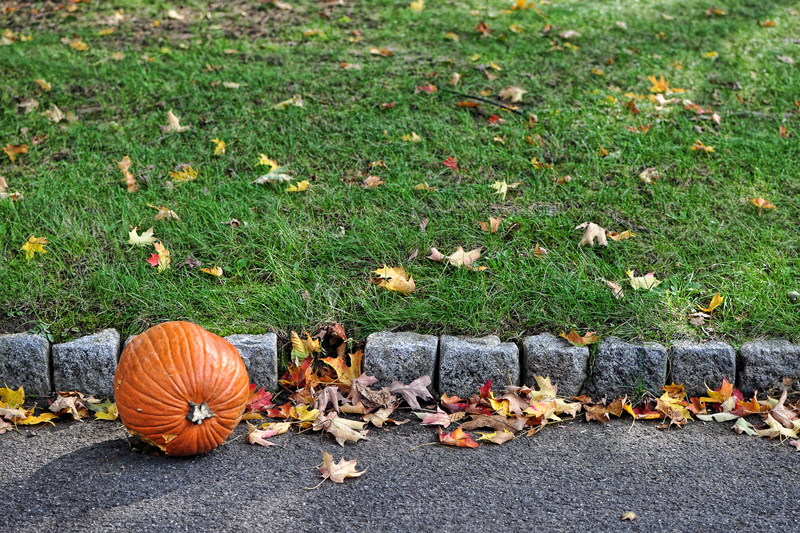 Inspiration Tip: Narrow Your Vision With Color