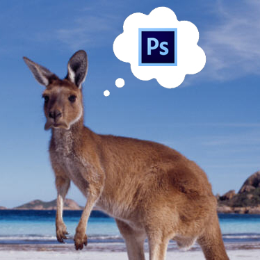 Fly Before You Buy: Australia vs. Adobe's Price Gouging