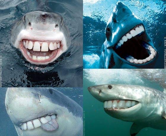 How to Smile For the Camera