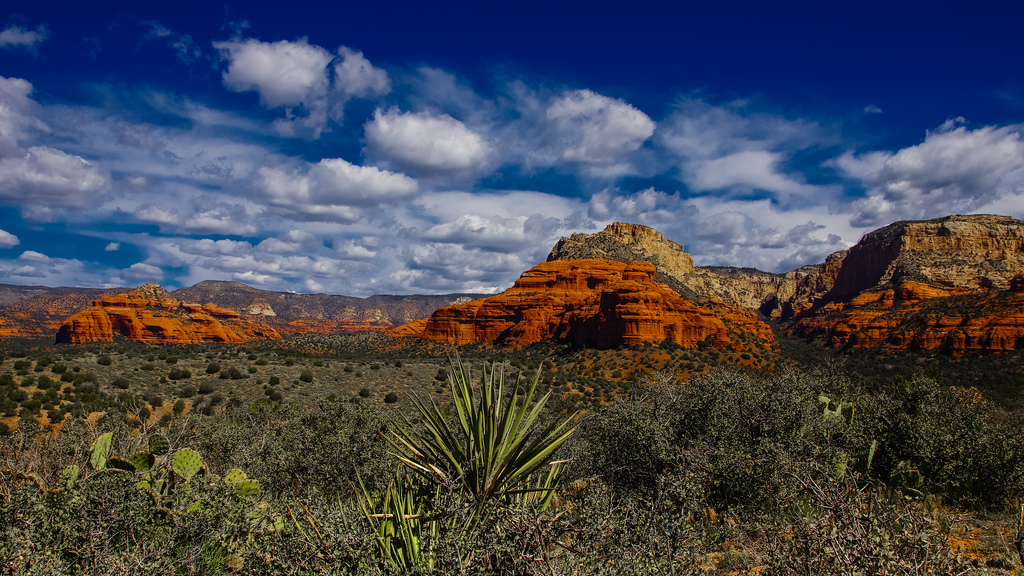 FLICKR FRIDAY APRIL 26 2013