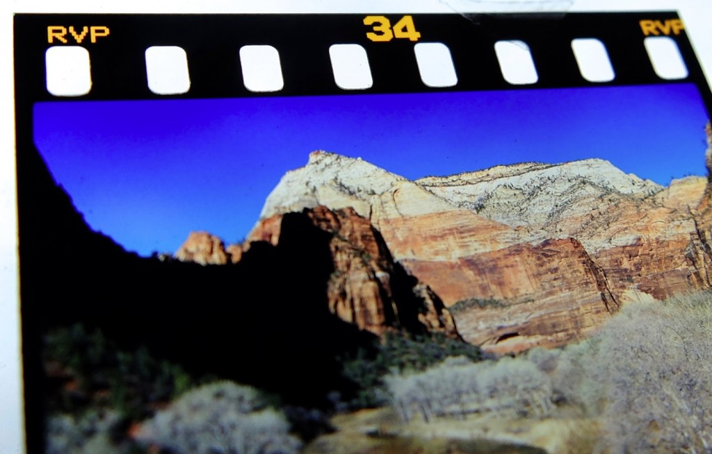 velvia 50 8x10