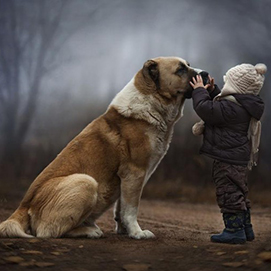 What does it take to become a travel photographer? Find out from the experts