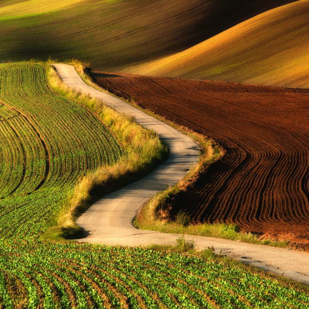 8 Tips for Amazing Spring Photography