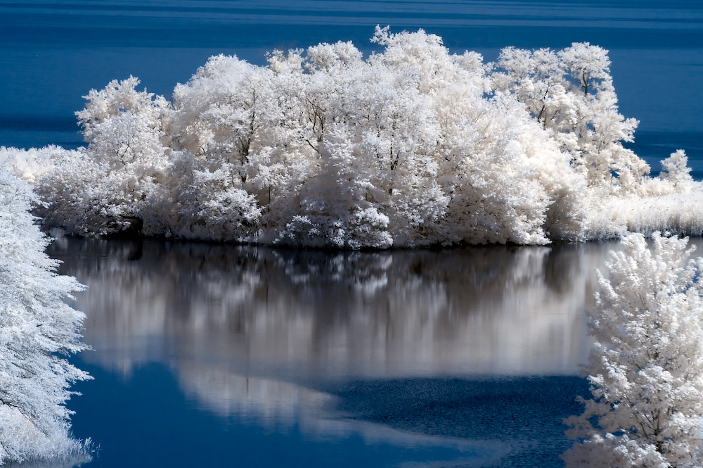 How to go about digital infrared photography