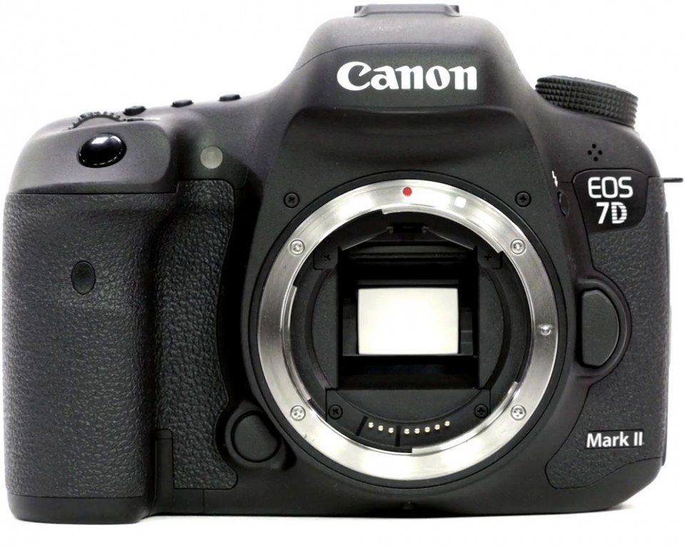 Three DSLRs to look for this fall