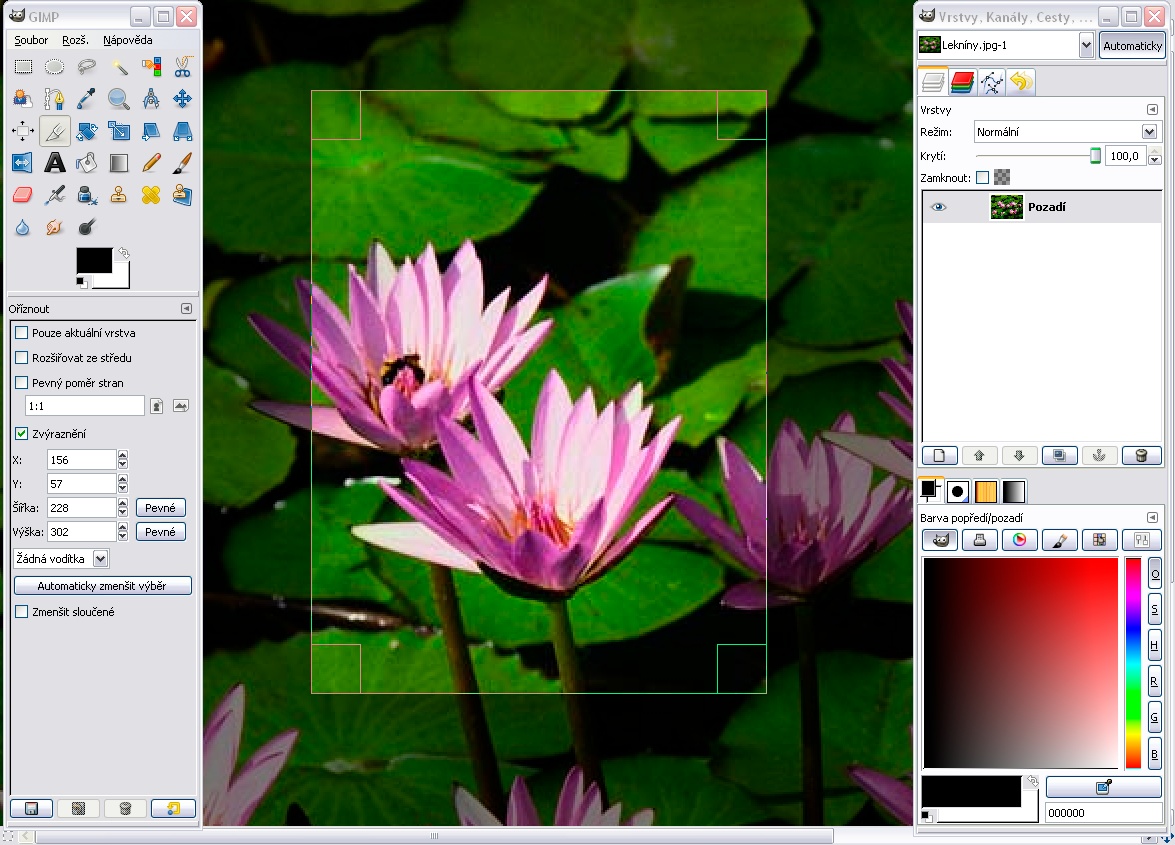 5 Free picture editors you must give a shot