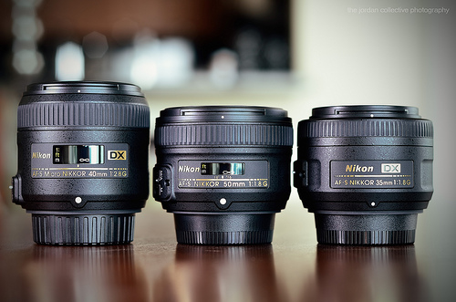 Macro Photography: Capturing life king size