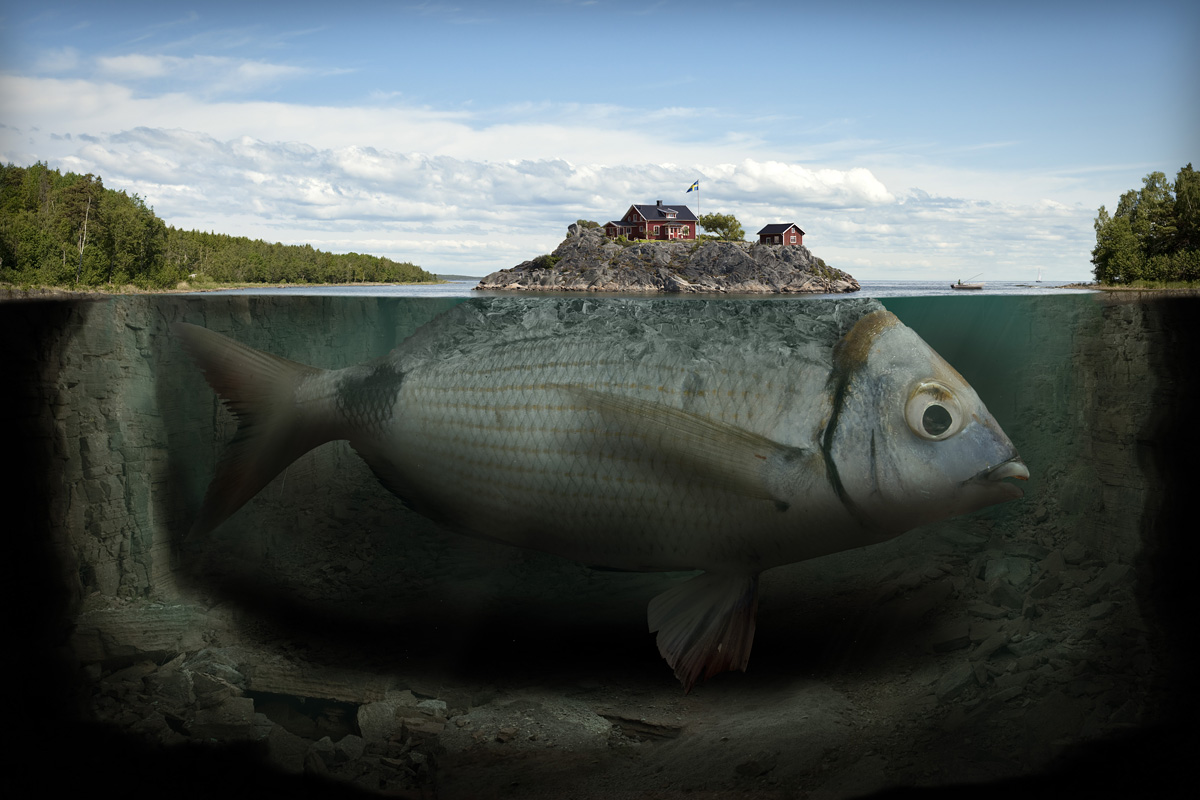 Optical Illusion pictures by the New Photo Architect "Eric Johansson"