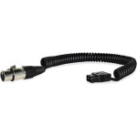 Core SWX Coiled D-Tap Cable for 4-Pin XLR Devices