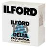 Ilford Delta-100 Professional 35mm Roll Black  and  White Negative (Print) Film