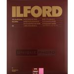 Ilford Multigrade FB Warmtone Paper (Glossy, 16x20, 10 Sheets)