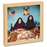 Alessandra Sanguinetti - The Adventures of Guillermina and Belinda and The I