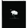 Pioneer 4 x 6 In. Fabric Frame Bi-Directional Photo Album (300 Photos)-Black