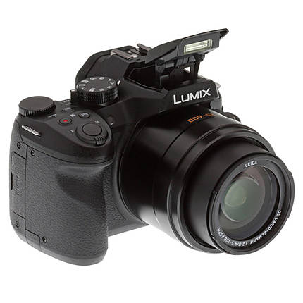 Panasonic Lumix FZ300 Digital Camera | Point and Shoot Cameras ...