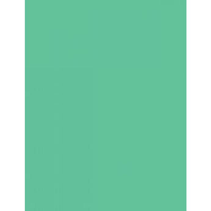 Photo Collection Mint Green Bg And